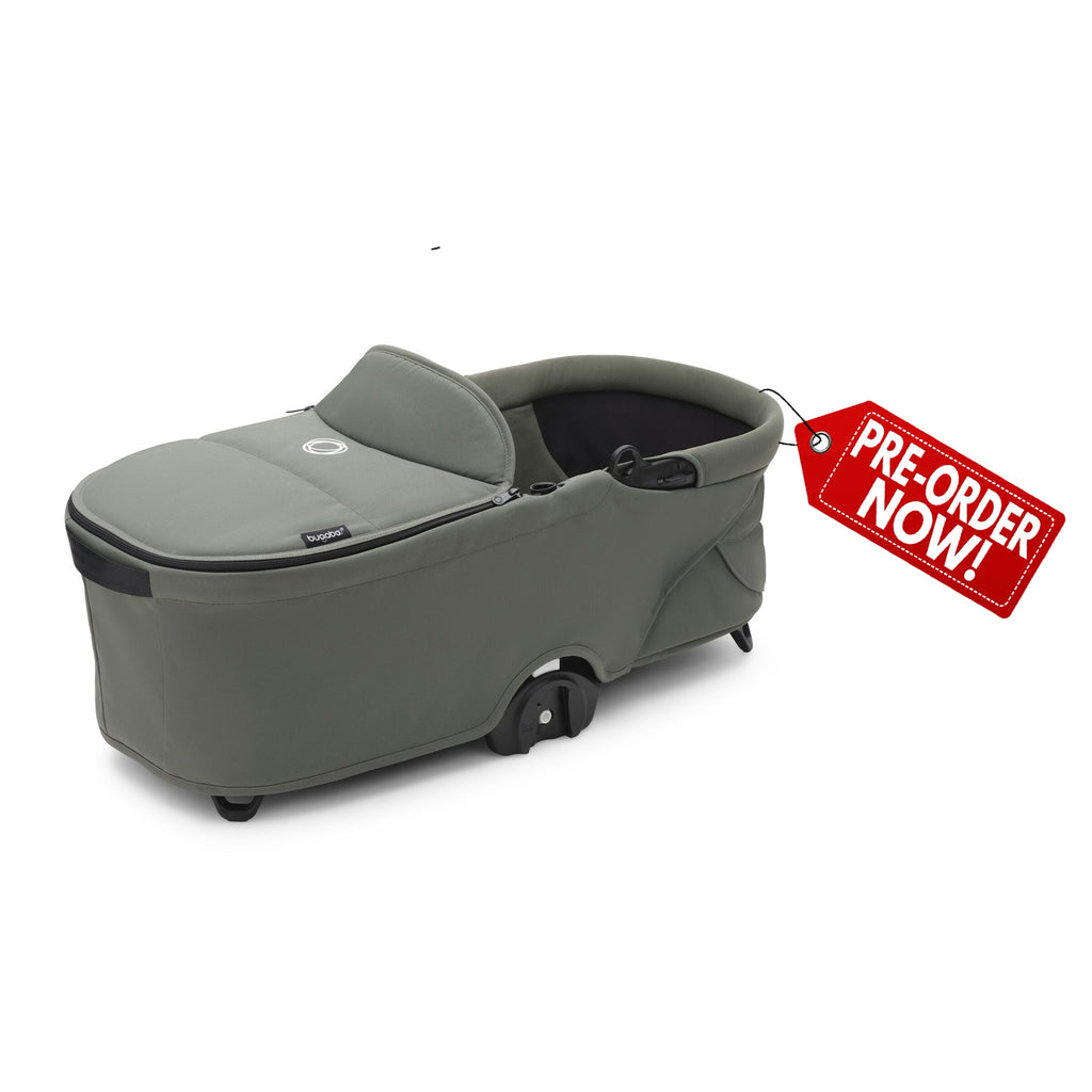Dragonfly bassinet 1.1