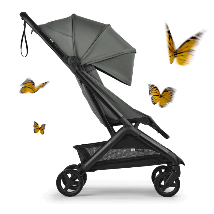 Butterfly 2 Stroller